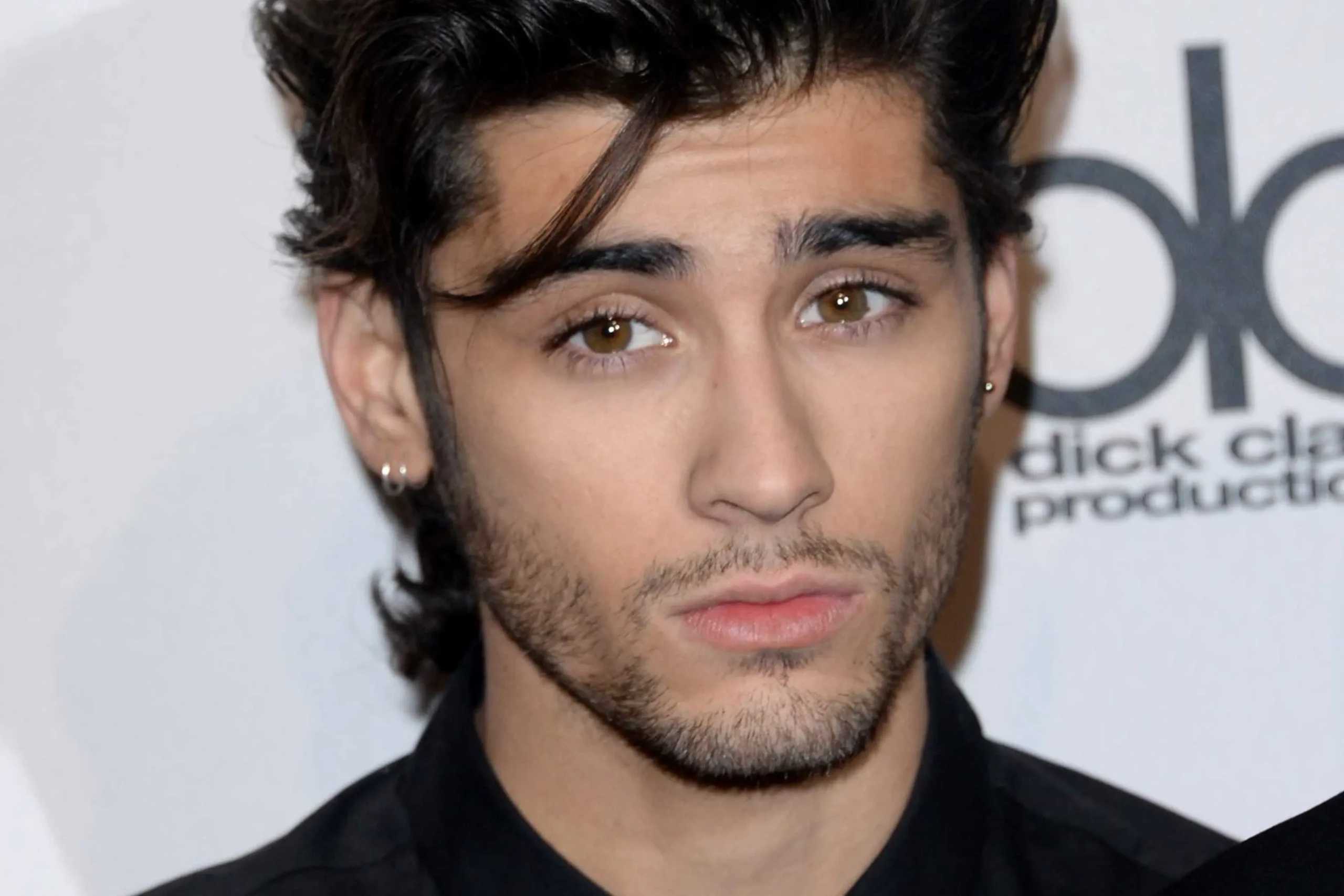 zaynmalikcarrusel